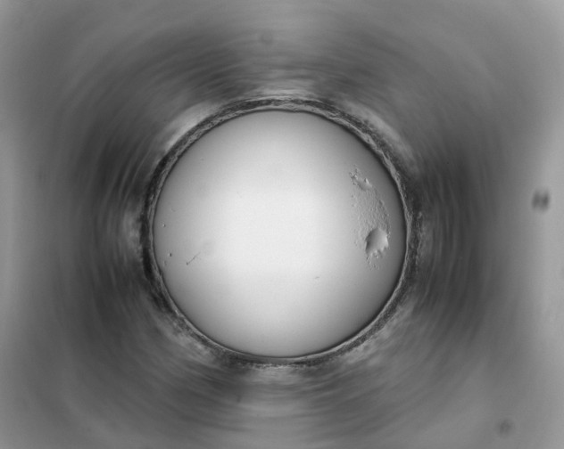 X0000102031162200808011441