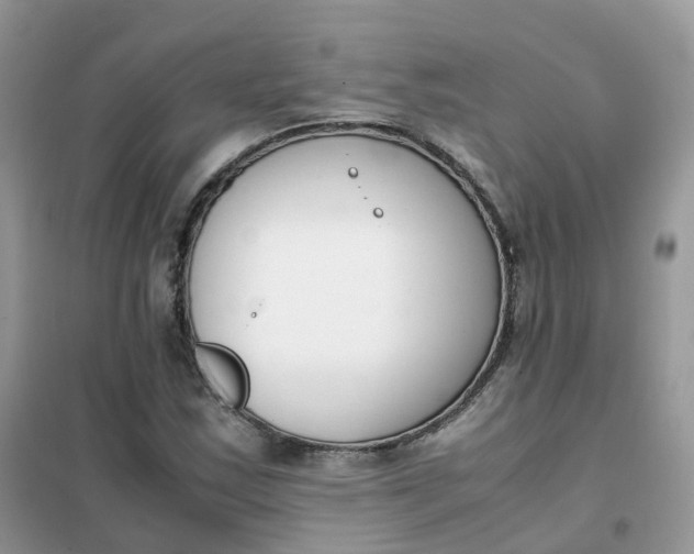 X0000102031163200808011441