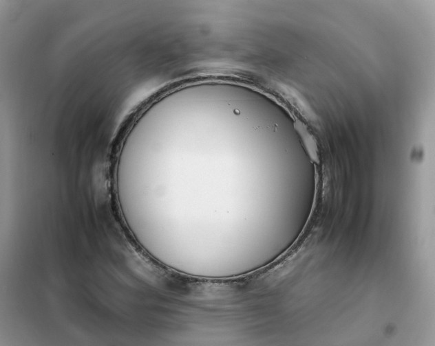 X0000102031164200808011441