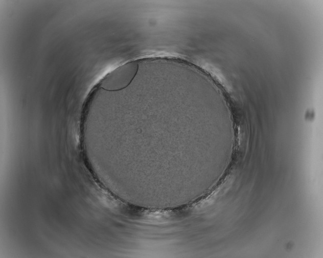 X0000102031165200808011441