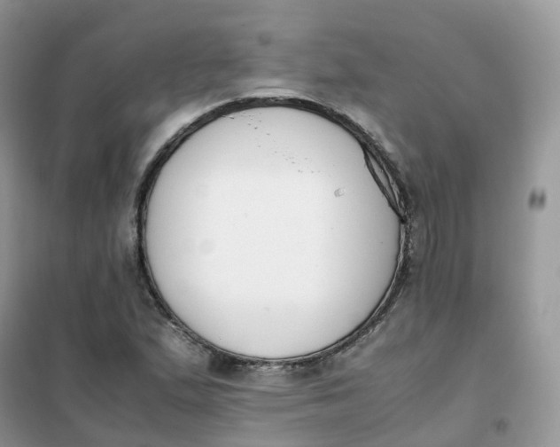 X0000102031167200808011441