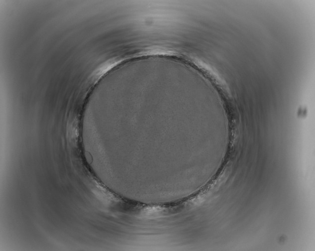 X0000102031169200808011441