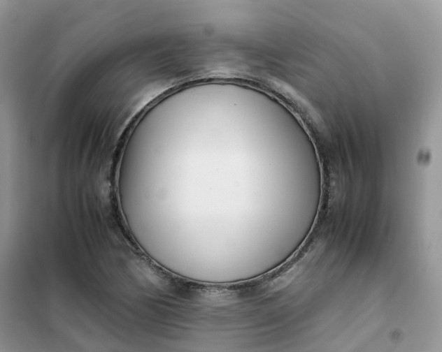 X0000102031170200808011441