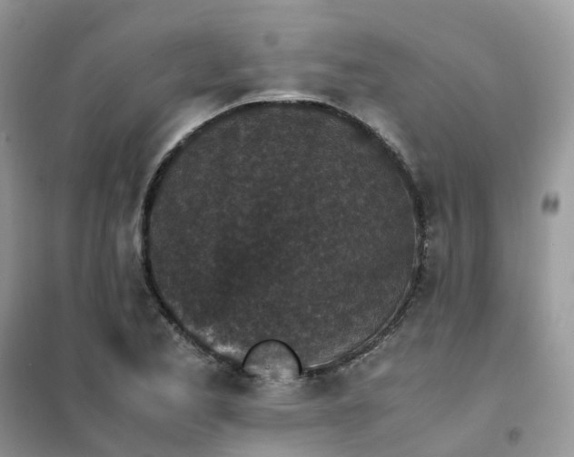 X0000102031173200808011441