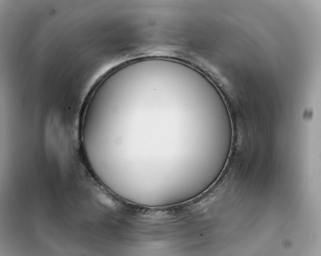 X0000102031174200808011441