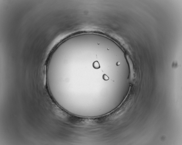 X0000102031175200808011441