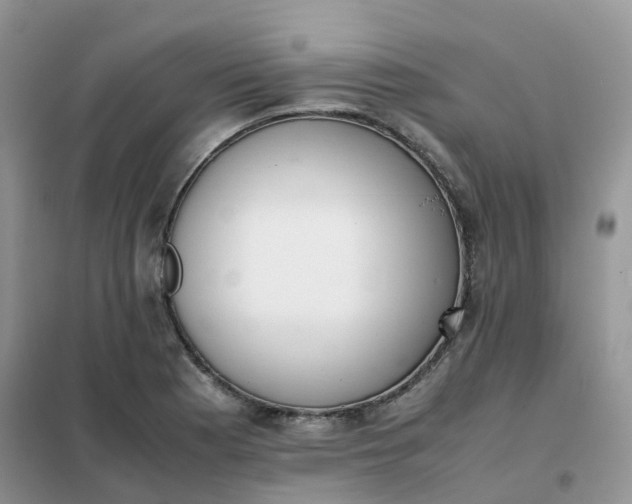 X0000102031177200808011441