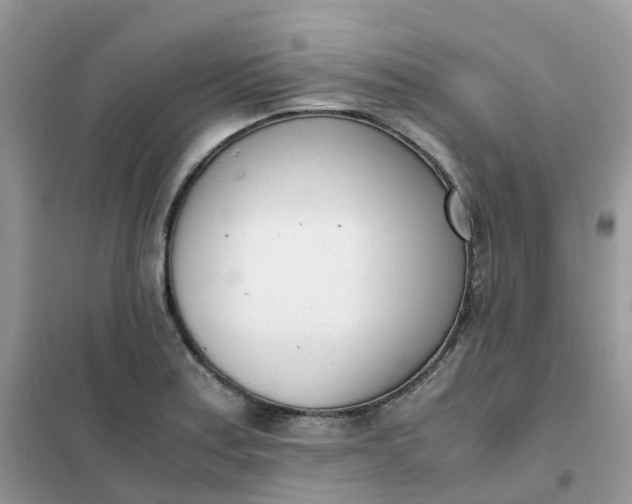 X0000102031179200808011440