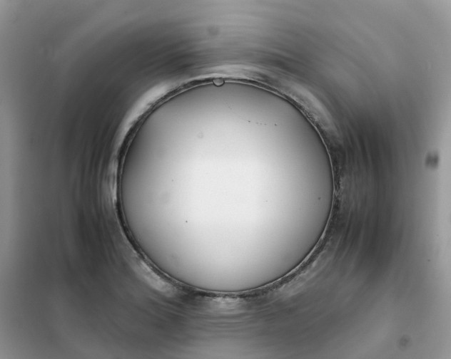 X0000102031180200808011440