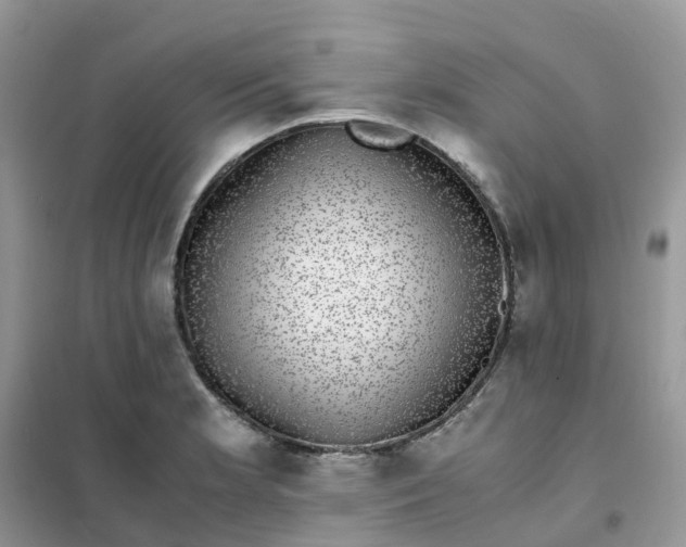 X0000102031181200808011440