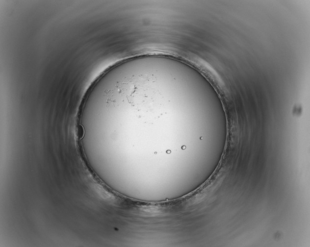 X0000102031182200808011440