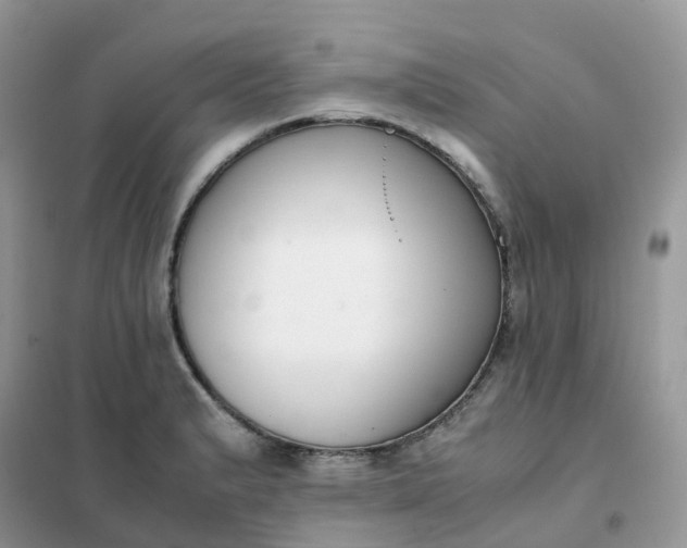 X0000102031183200808011440