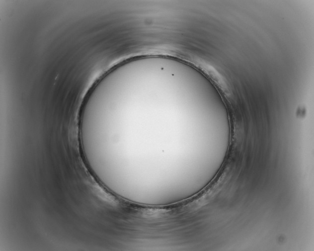 X0000102031184200808011440