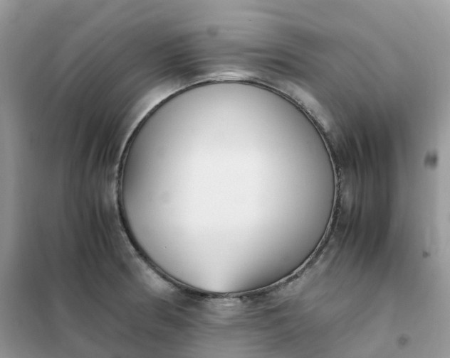 X0000102031186200808011440