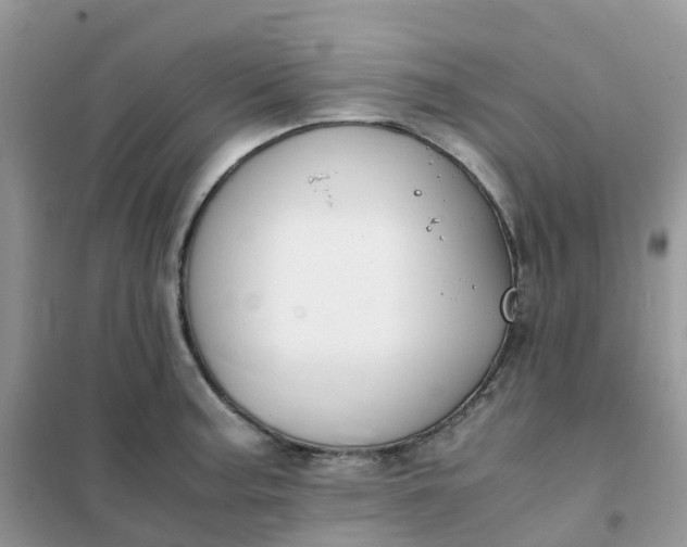 X0000102031187200808011440