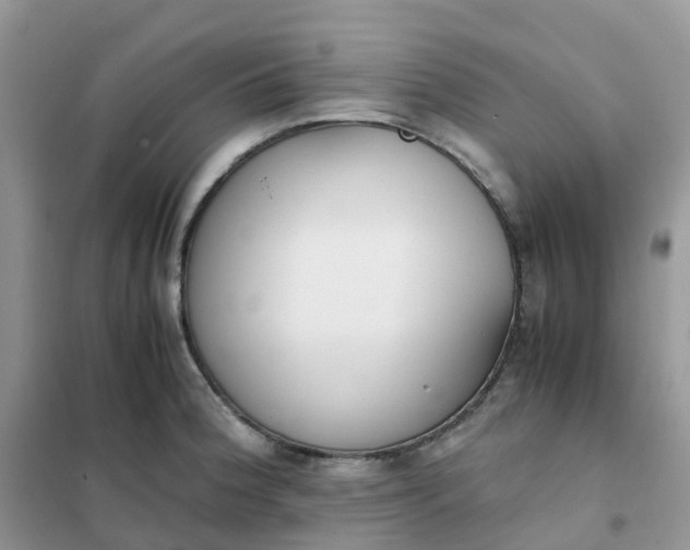 X0000102031188200808011440