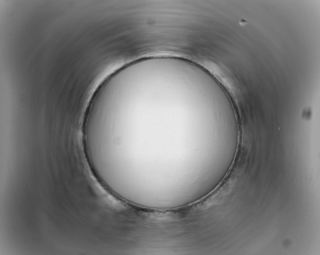 X0000102031189200808011440