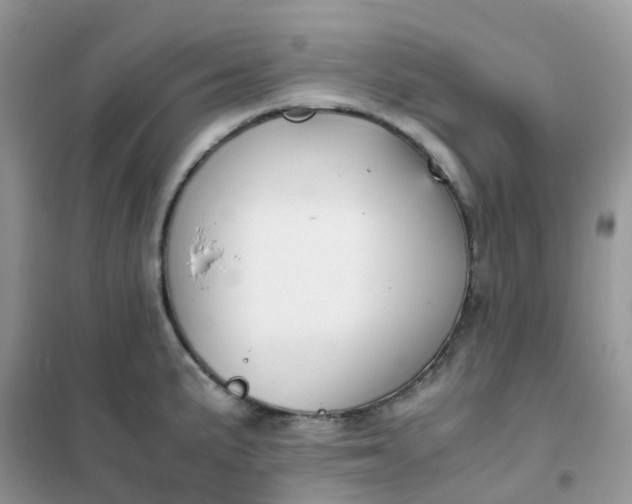 X0000102031191200808011440