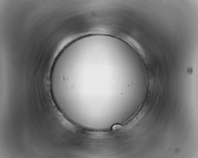 X0000102031192200808011440