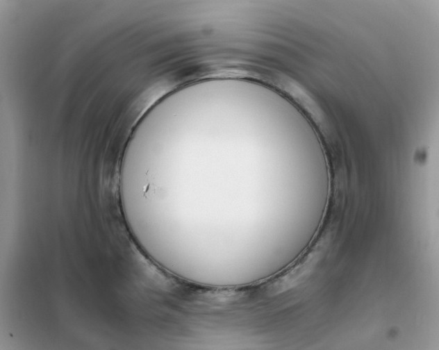 X0000102031193200808011440