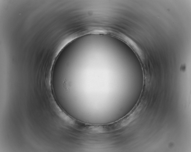 X0000102031194200808011440