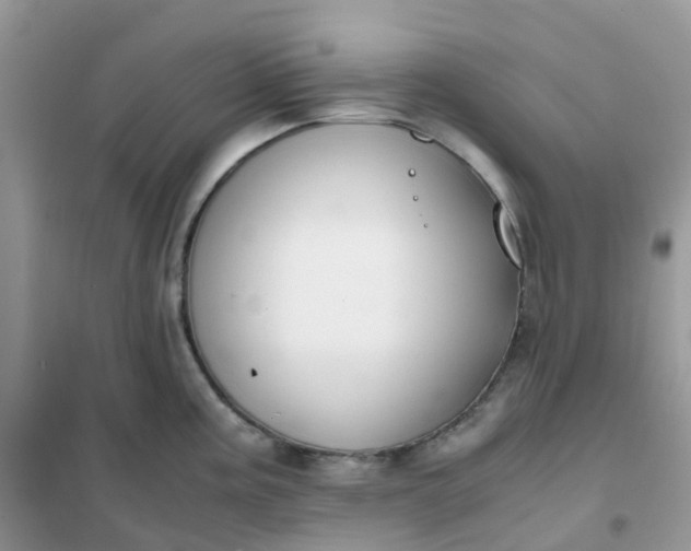 X0000102031195200808011440