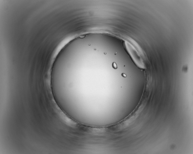 X0000102031196200808011440