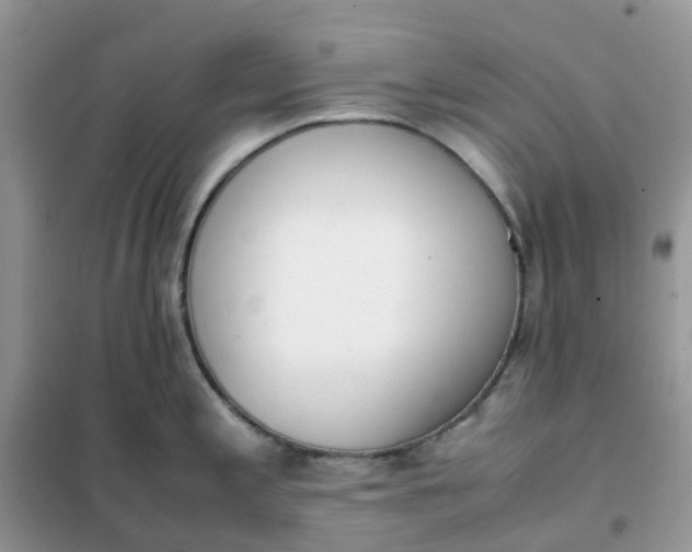 X0000102031197200808011440