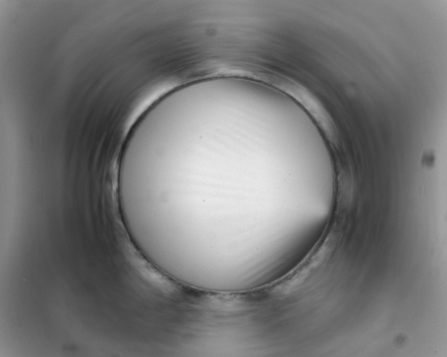 X0000102031198200808011440