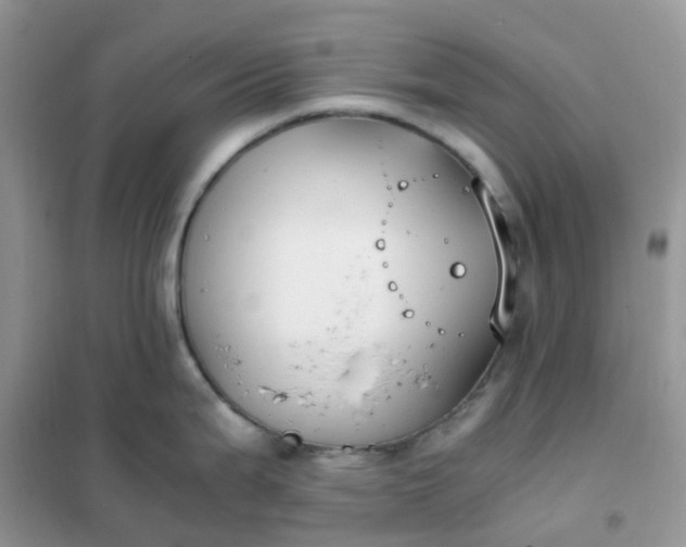 X0000102031199200808011440