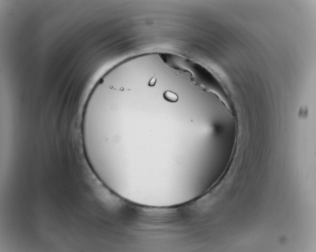 X0000102031200200808011440