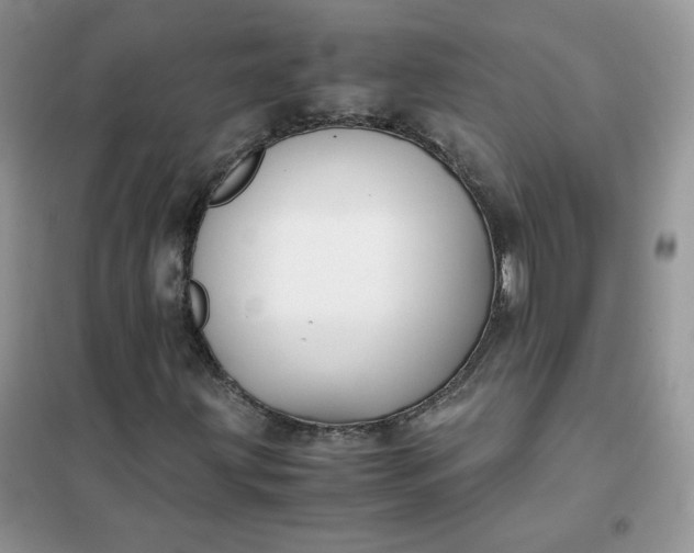 X0000102031203200808011439