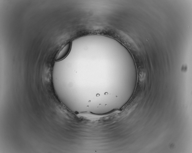 X0000102031204200808011439