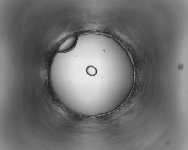 X0000102031206200808011439