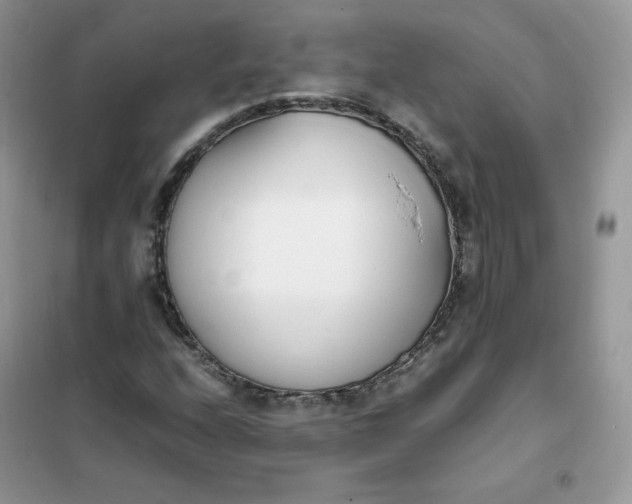 X0000102031208200808011439