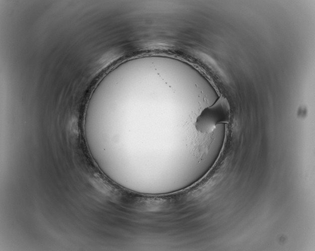 X0000102031209200808011439