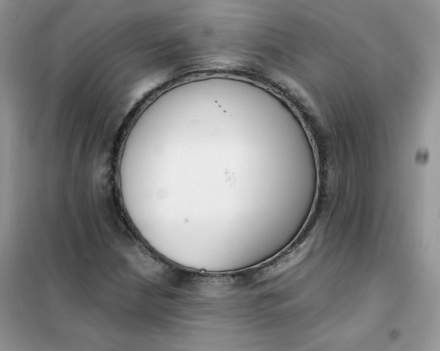 X0000102031210200808011440