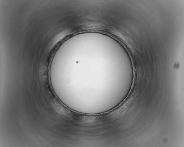 X0000102031211200808011440