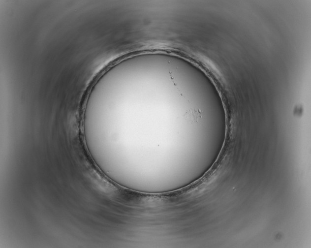 X0000102031212200808011440