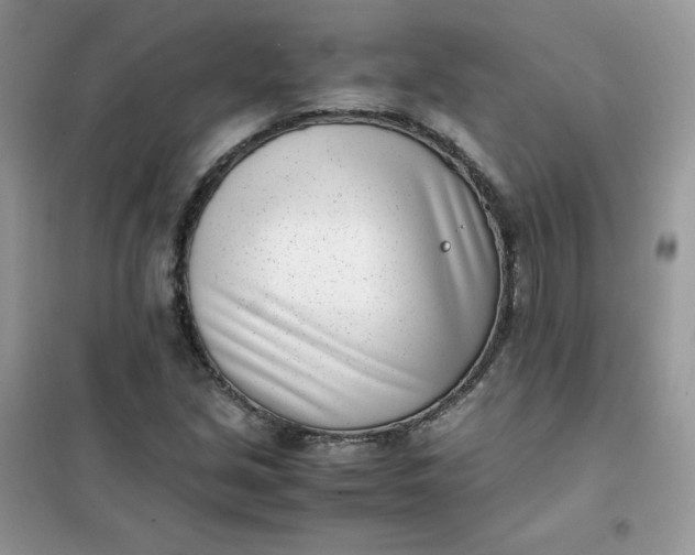 X0000102031213200808011440