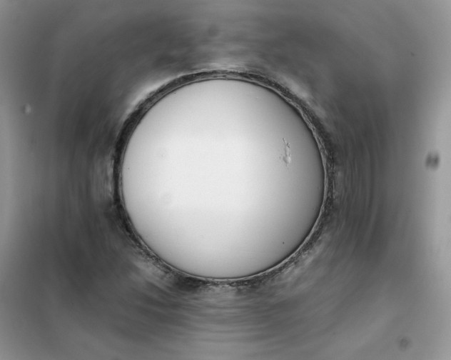 X0000102031214200808011440