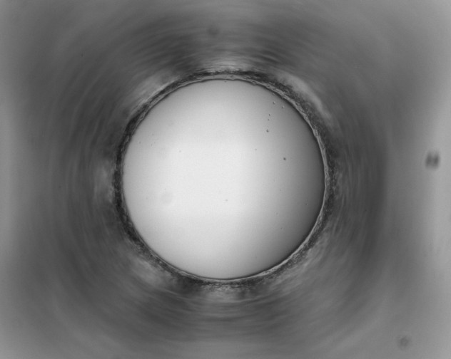 X0000102031217200808011440