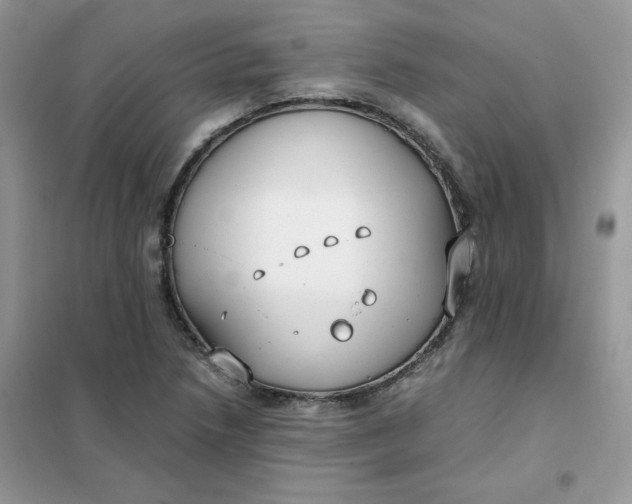 X0000102031218200808011440