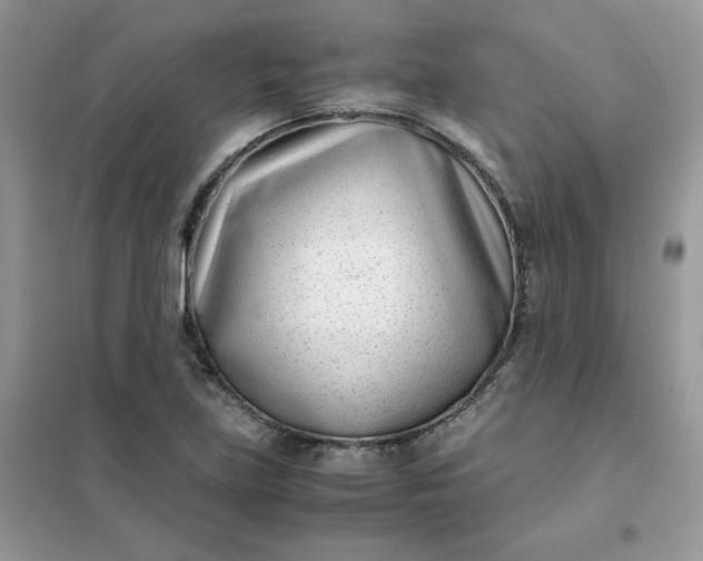 X0000102031219200808011440