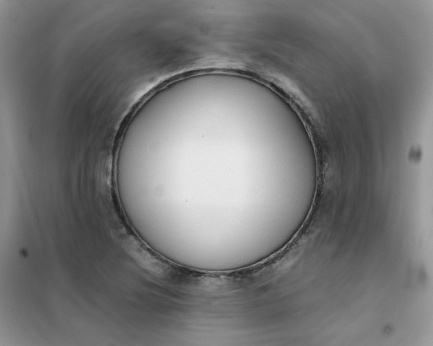 X0000102031220200808011440