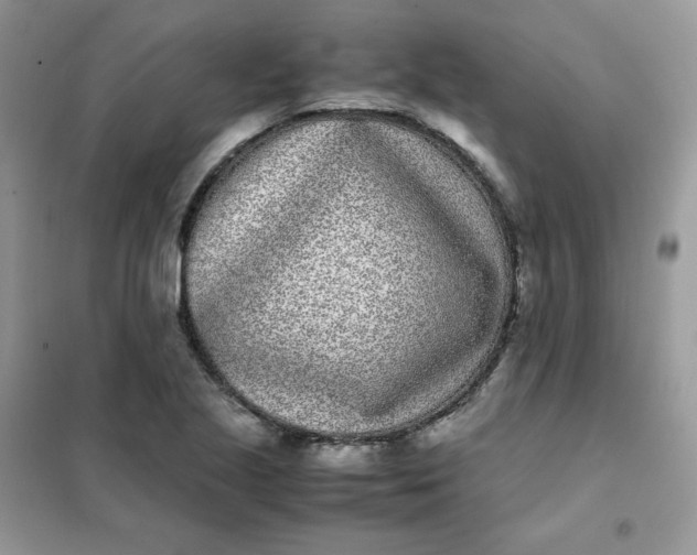 X0000102031221200808011440