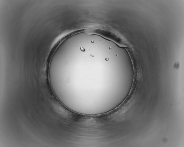 X0000102031222200808011440