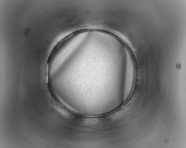 X0000102031223200808011440