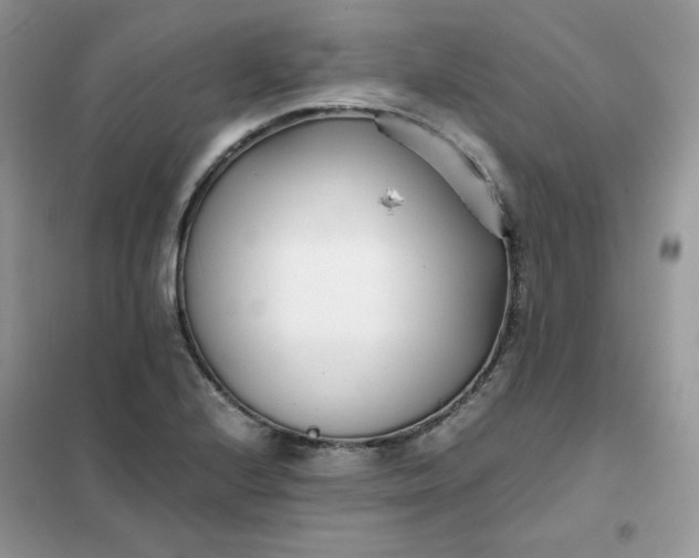 X0000102031224200808011440