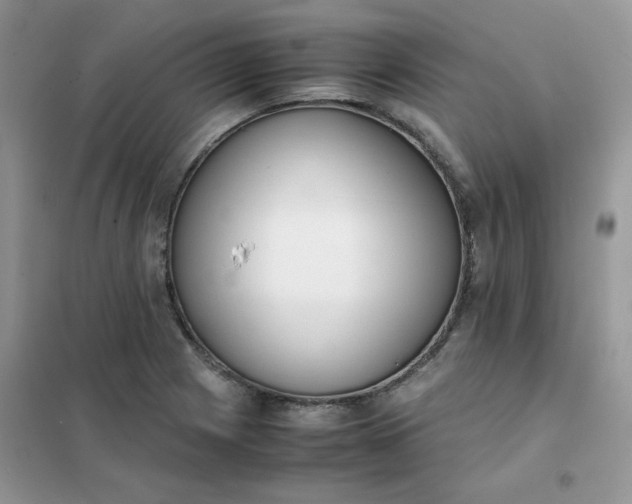 X0000102031225200808011440